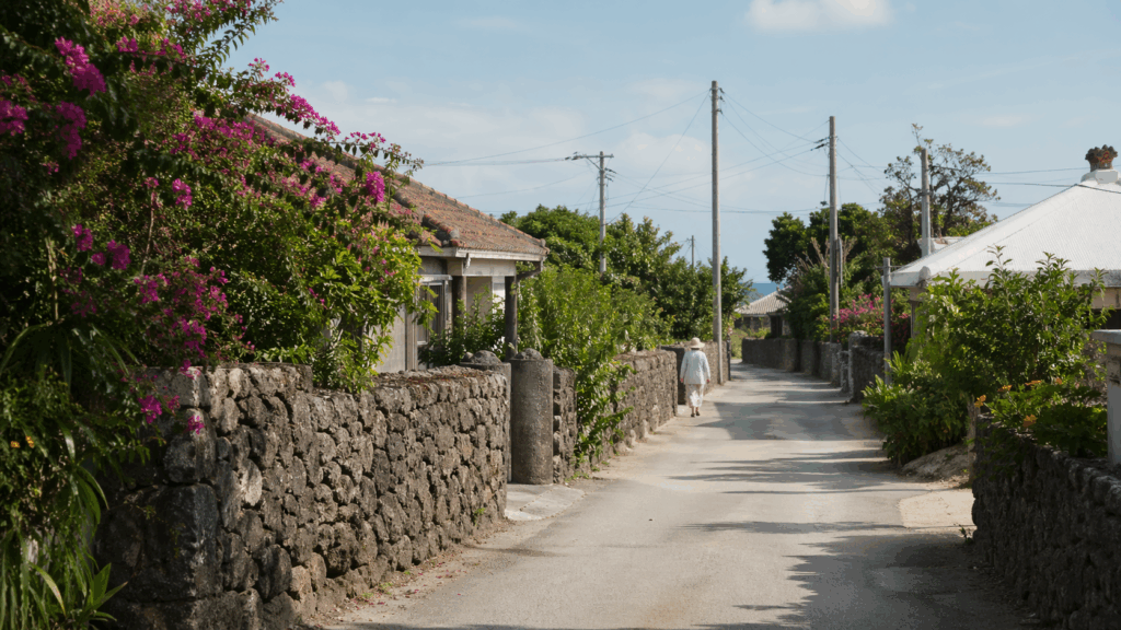 宮古島の集落の道